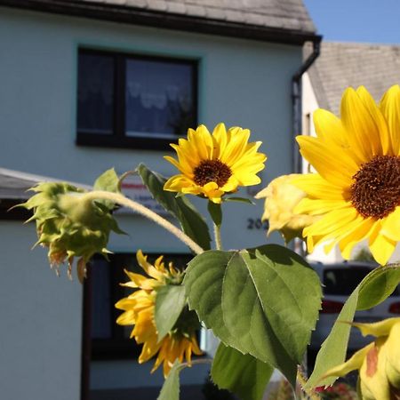 Ferienwohnung Lippmann Grosshartmannsdorf Bagian luar foto