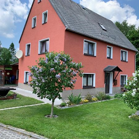 Ferienwohnung Lippmann Grosshartmannsdorf Bagian luar foto