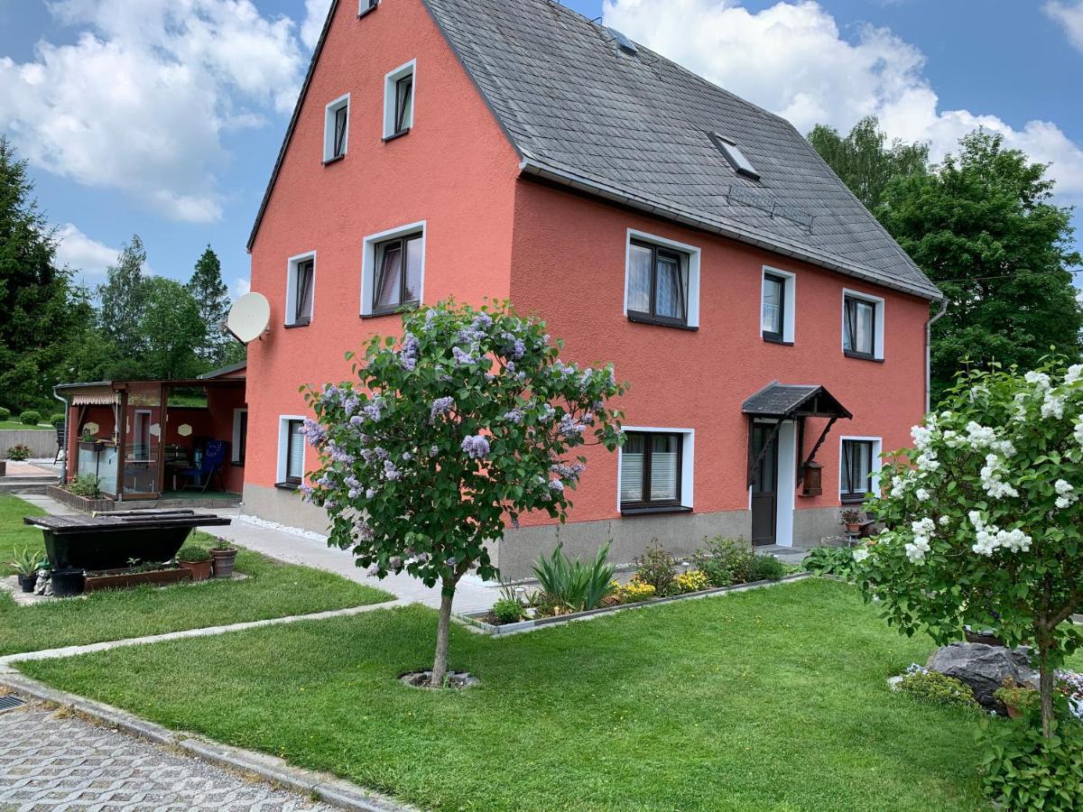 Ferienwohnung Lippmann Grosshartmannsdorf Bagian luar foto